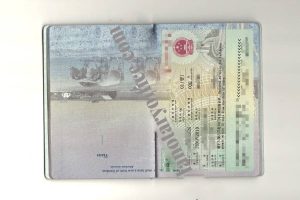 中国工作签证样本（Z-Visa）